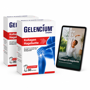 Gelencium