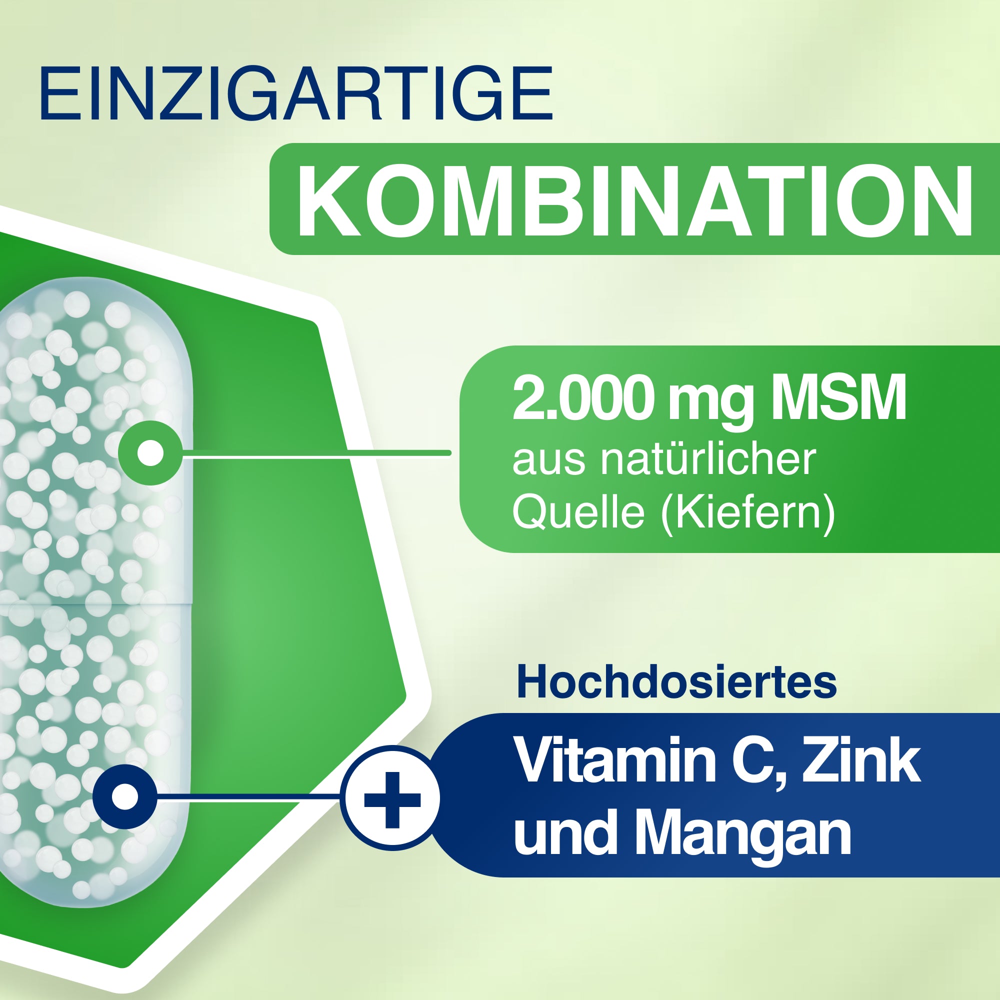 GELENCIUM MSM Plus