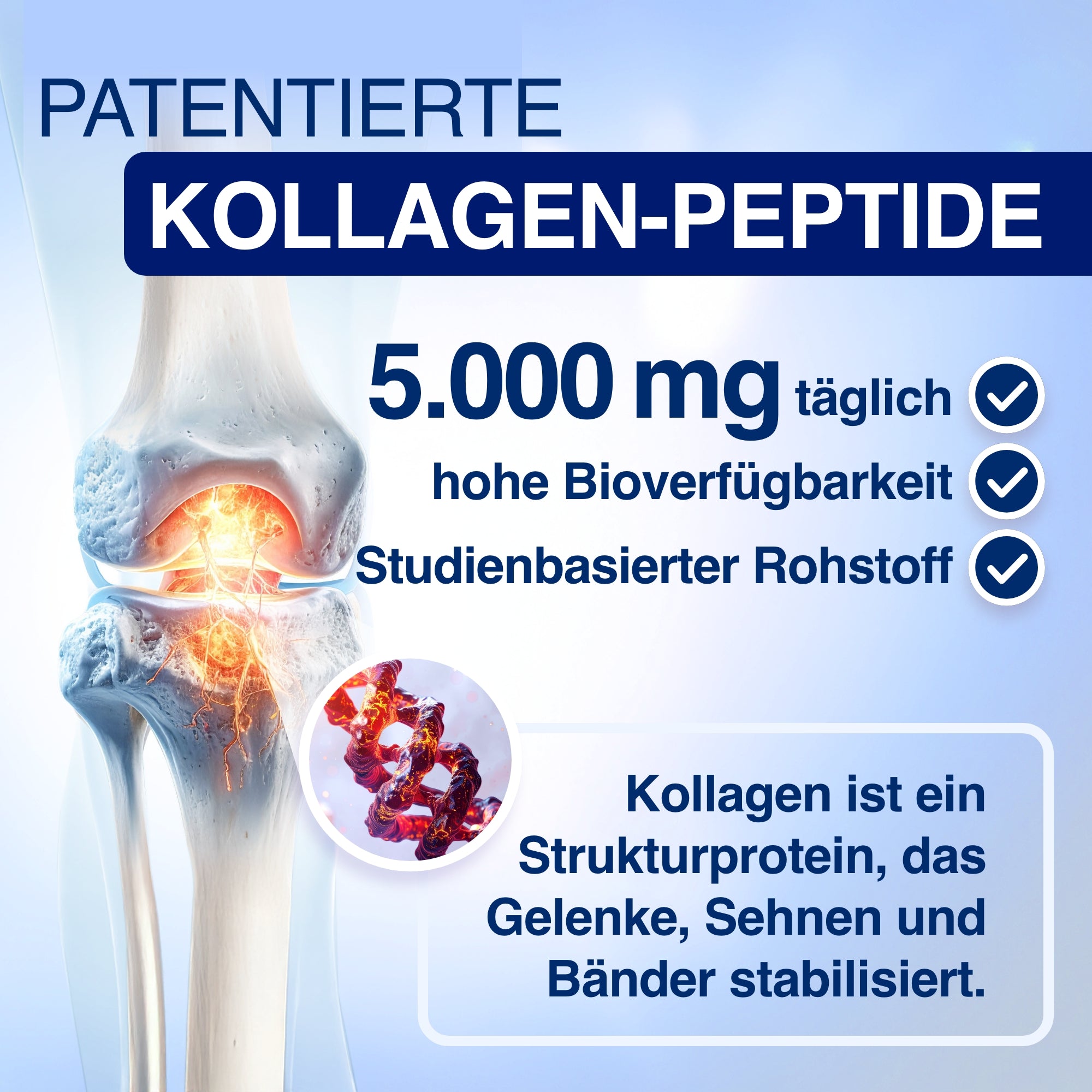 GELENCIUM® Kollagen Hagebutte 8 Wochen Kur