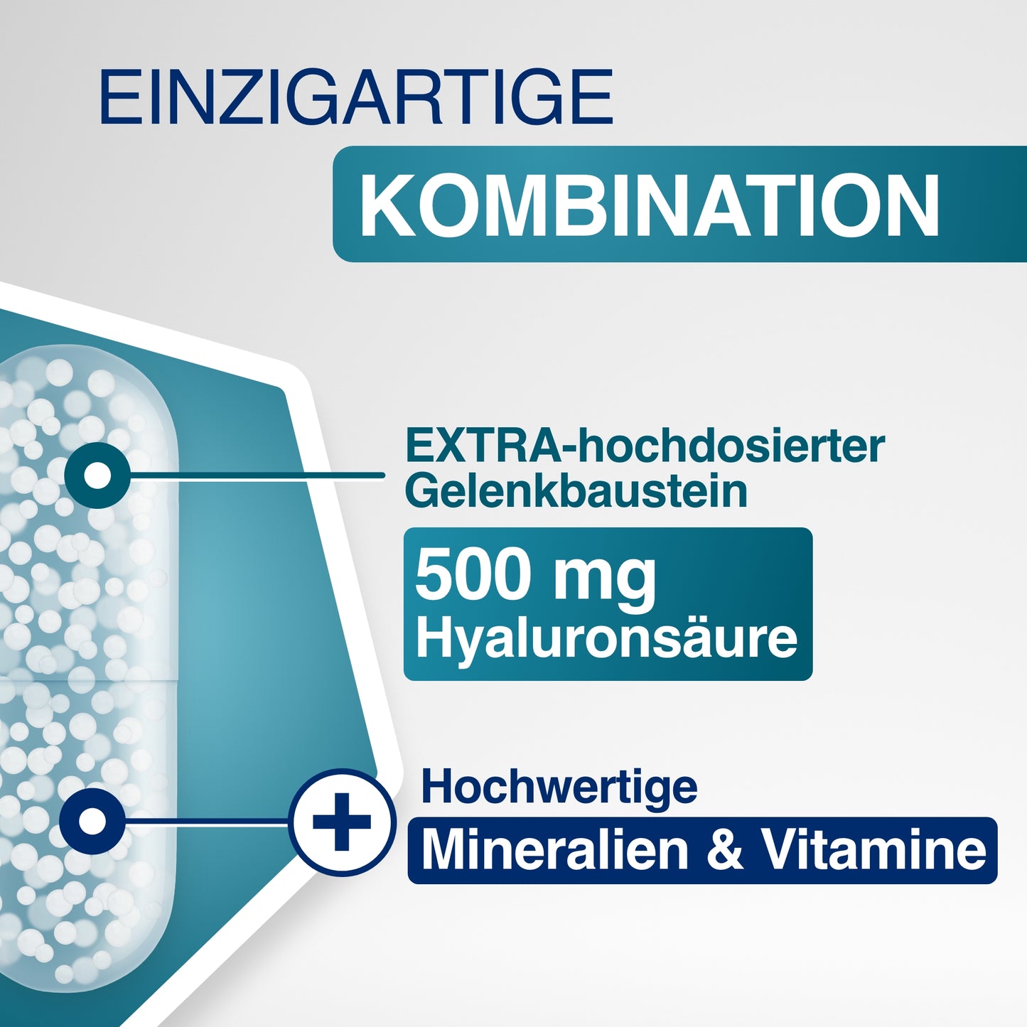 GELENCIUM Hyaluron Intense 12 Wochen Intensivkur