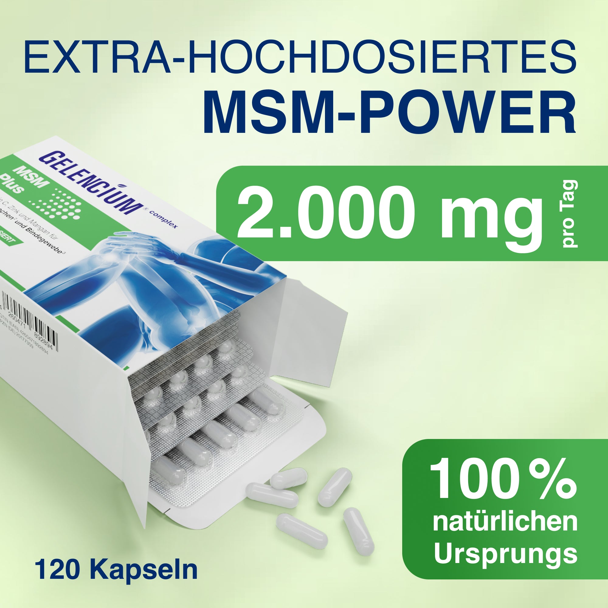 GELENCIUM MSM Plus