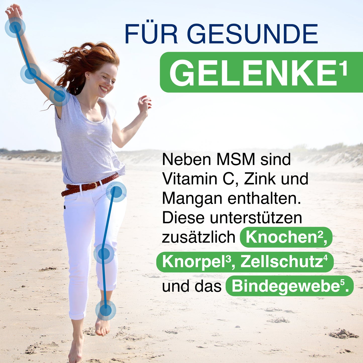 GELENCIUM MSM Plus