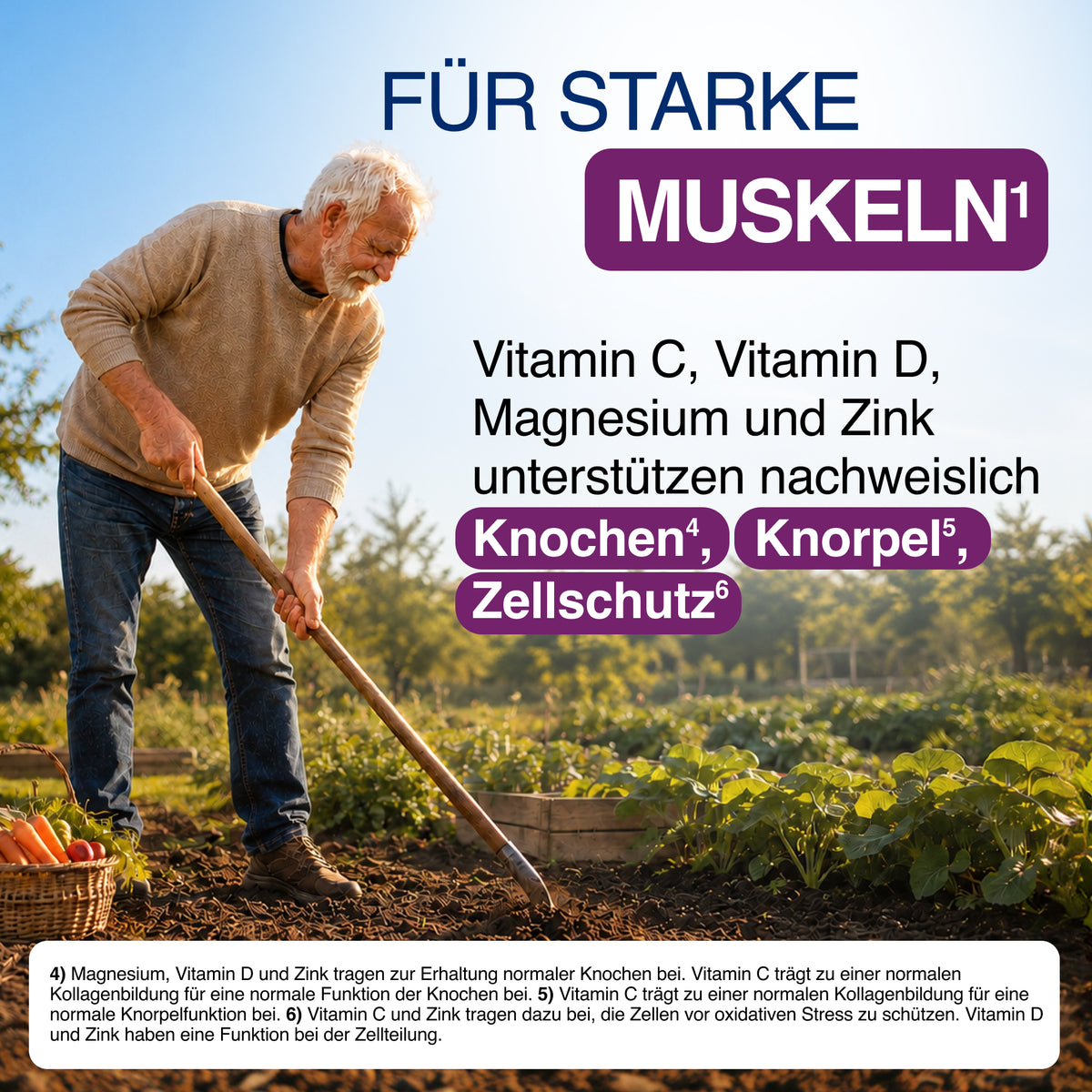 GELENCIUM Kreatin Plus