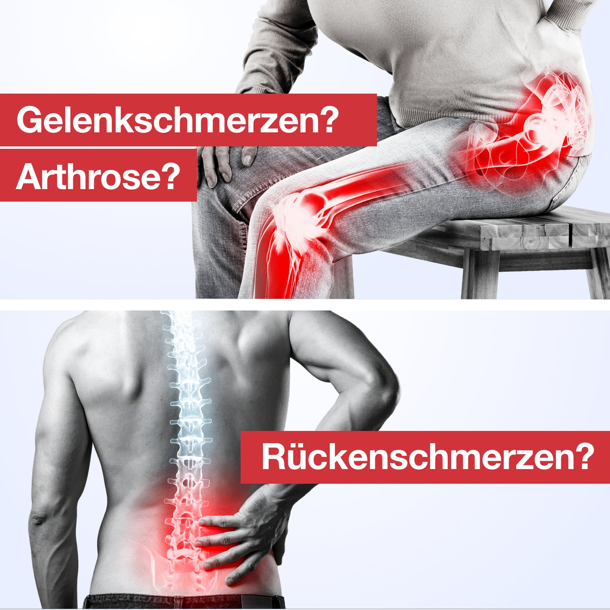 Gelencium® Extract