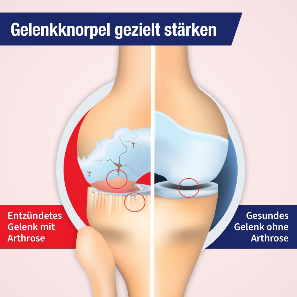 Gelencium artho