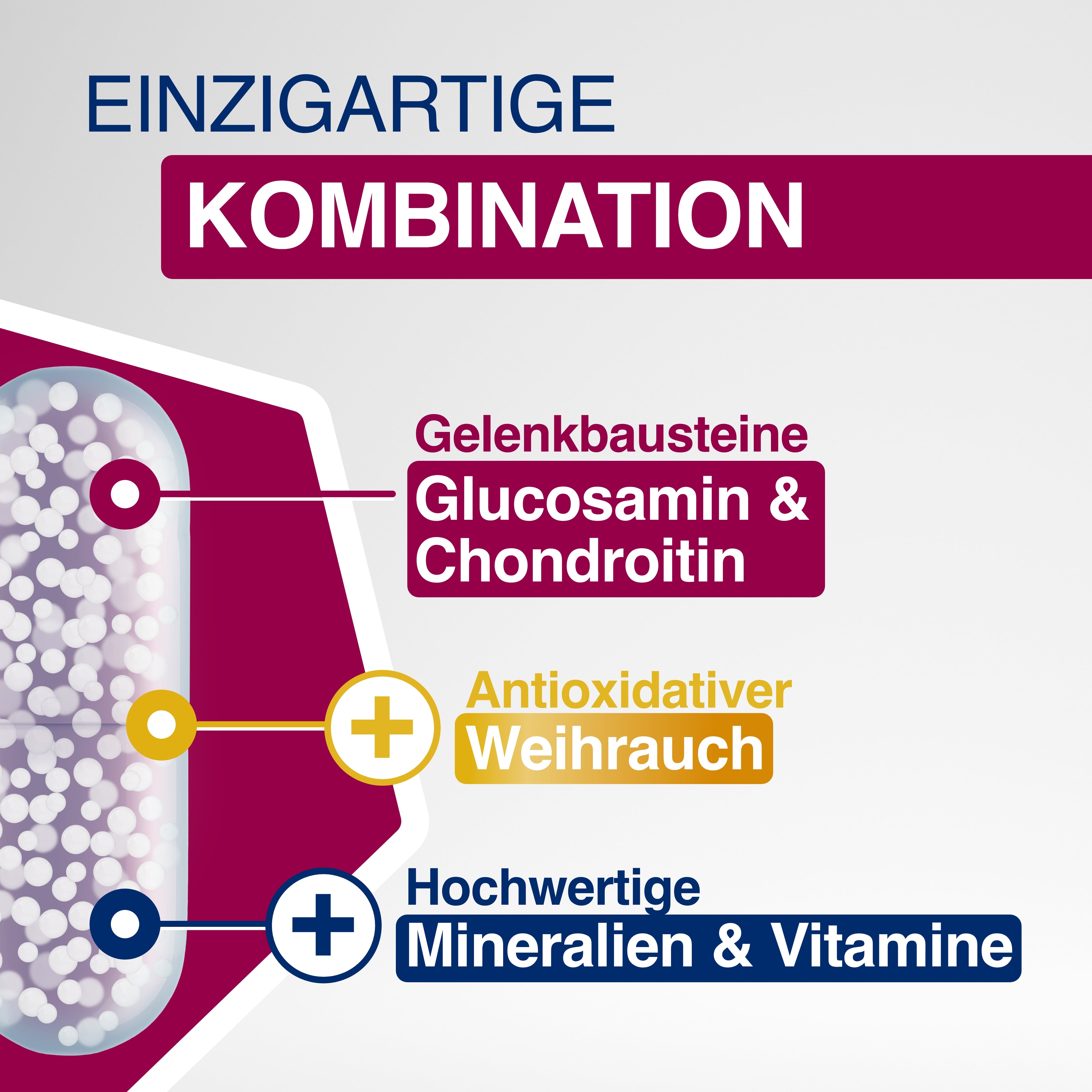 3x GELENCIUM Glucosamin Chondroitin