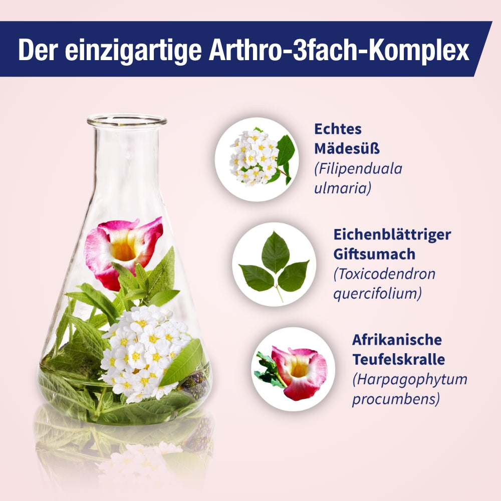 Gelencium artho