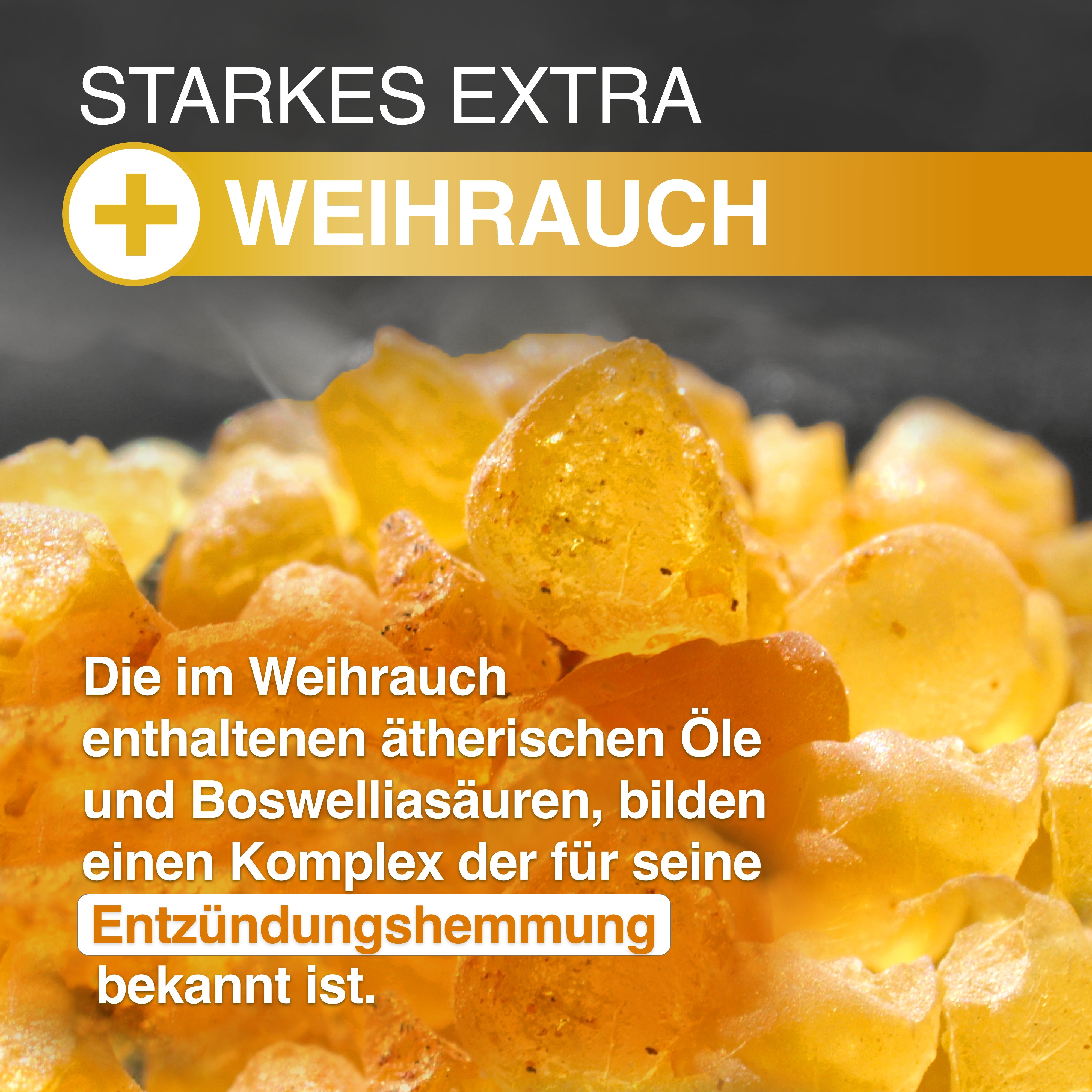 3x GELENCIUM Glucosamin Chondroitin
