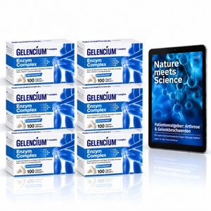 Gelencium