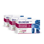 3x GELENCIUM Glucosamin Chondroitin
