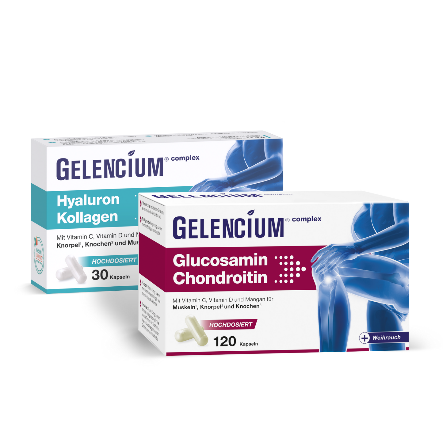 GELENCIUM Knorpelschutz-Set