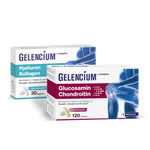 GELENCIUM Knorpelschutz-Set