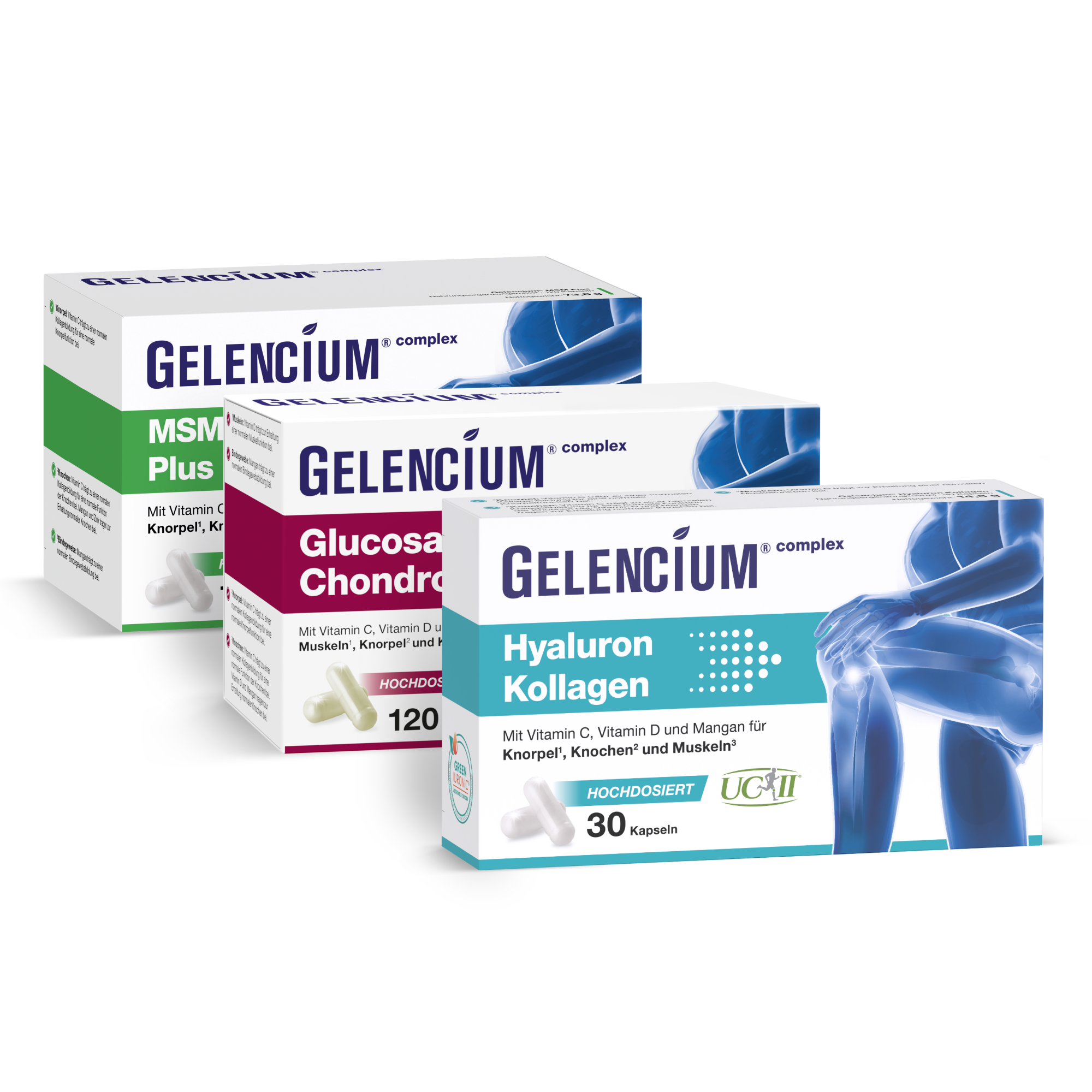 5-in-1 Gelenkbaustein-Set