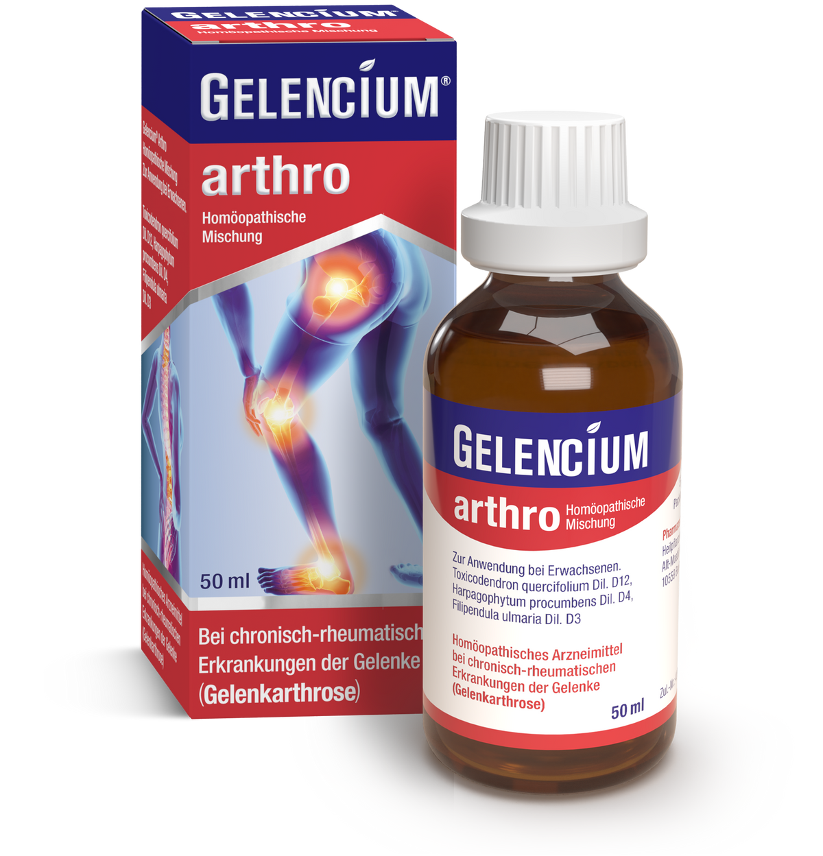 Gelencium artho